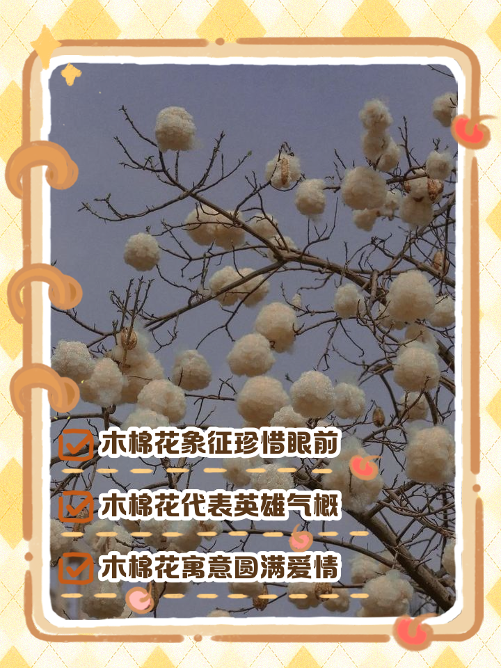 关于木棉花的唯美句子