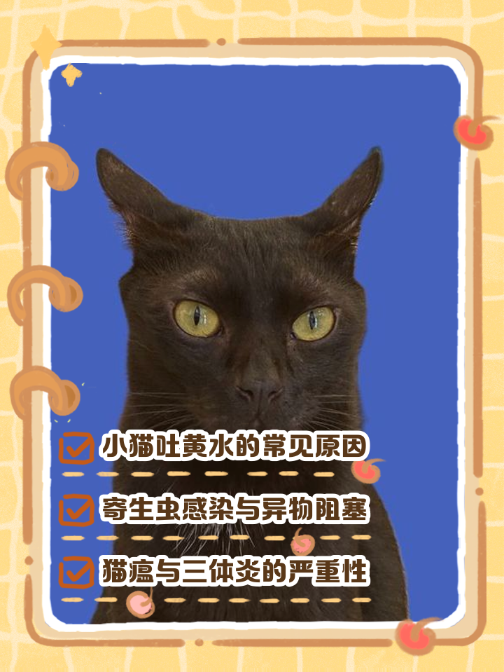 小猫咪吐黄水怎么回事